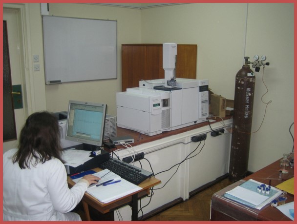 Gas chromatograph (GC-MS) with two detectors: flame-ionization (FID) and low-resolution mass spectrometer (MSD)