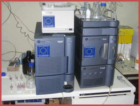 Liquid chromatograph (LC-MS/MS) with two detectors: photodiode-array (PDA) and triple quadrupole mass spectrometer (MS/MS QQQ)