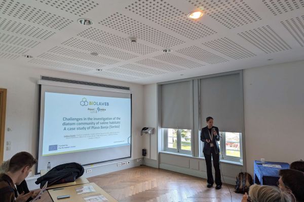 Conference 2